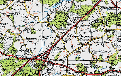 Old map of Copythorne in 1919