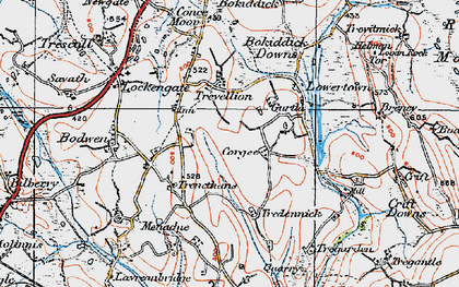 Old map of Bokiddick Downs in 1919