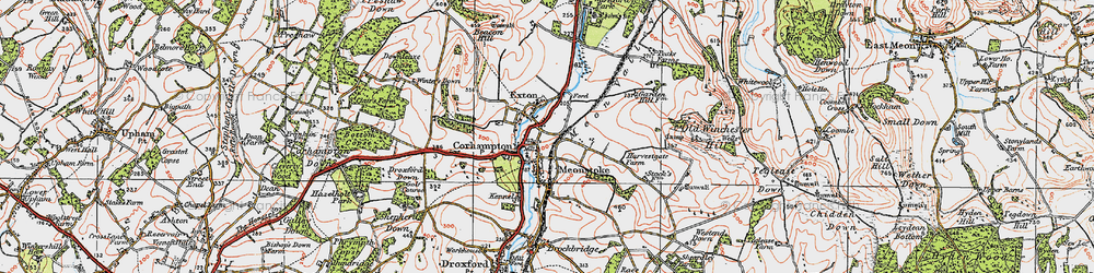 Old map of Corhampton in 1919