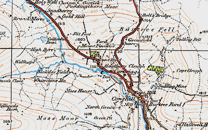 Old map of Burtree Fell in 1925