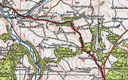 Old map of Costislost in 1919