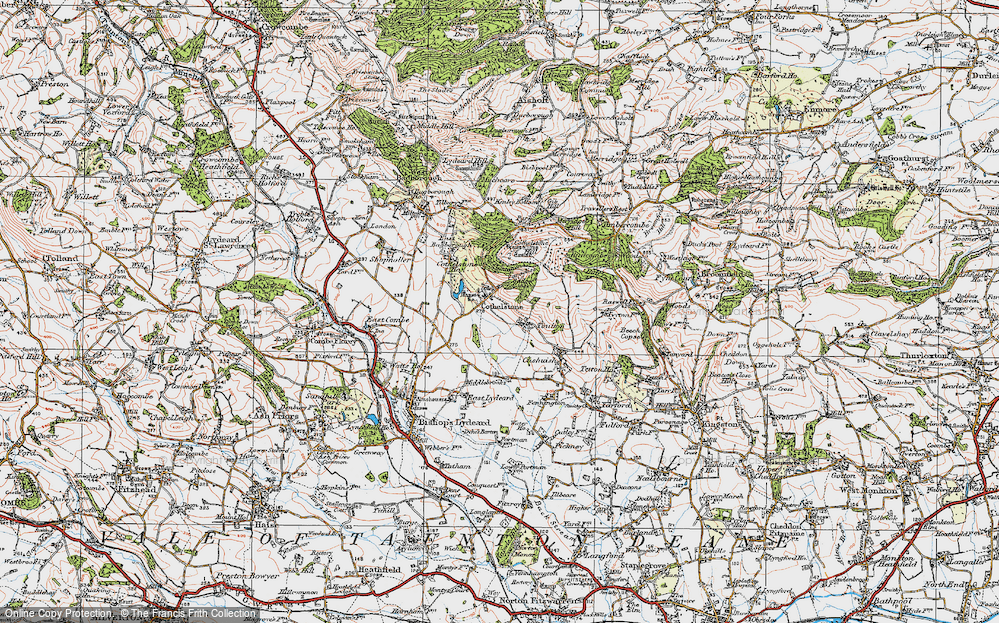 Cothelstone, 1919