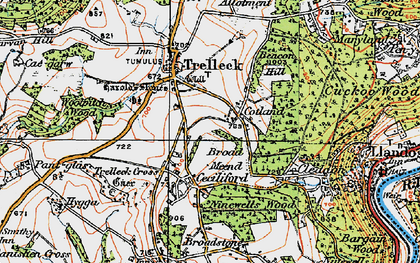 Old map of Trelleck Cross in 1919