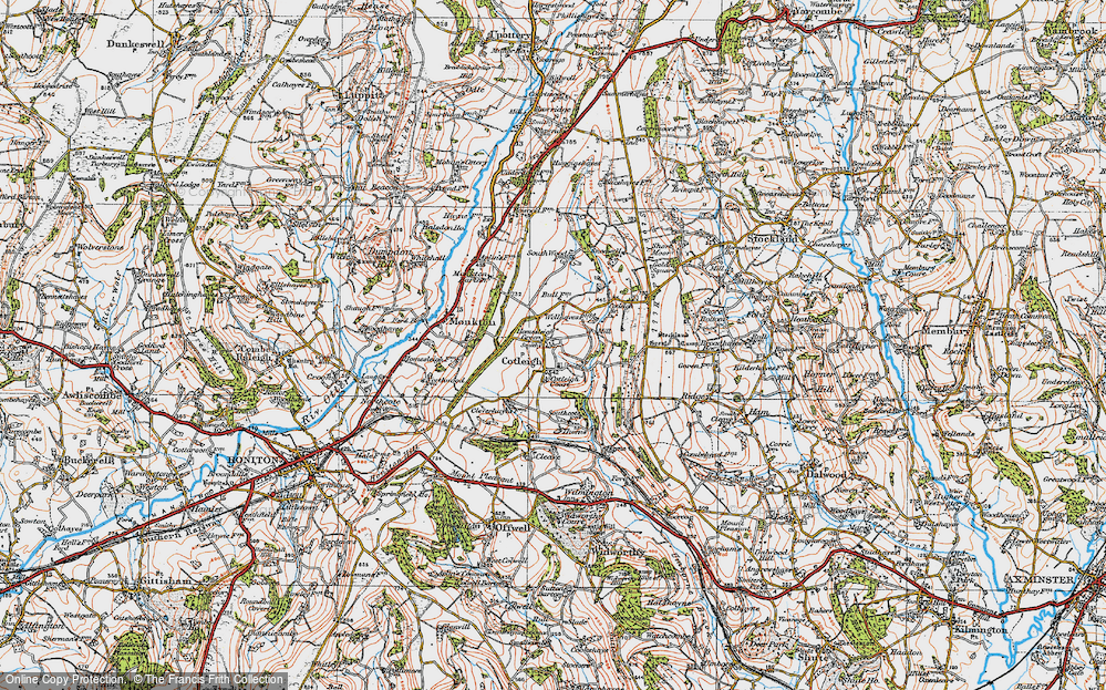 Old Map of Cotleigh, 1919 in 1919