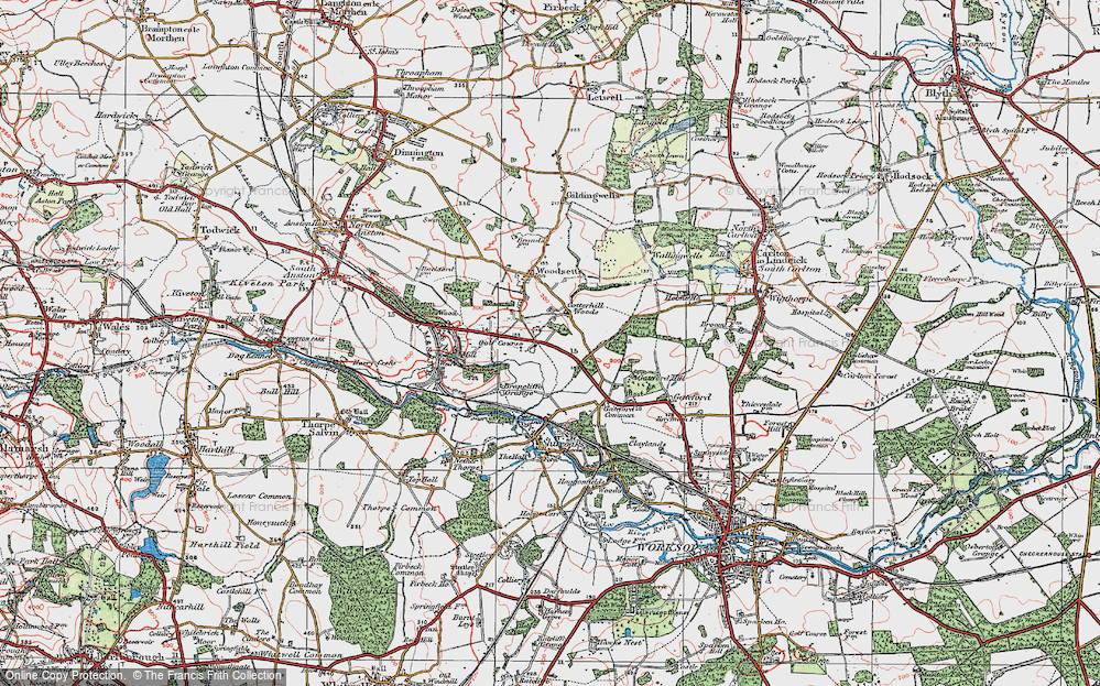 Cotterhill Woods, 1923