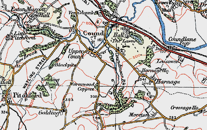 Old map of Wormwood Coppice in 1921