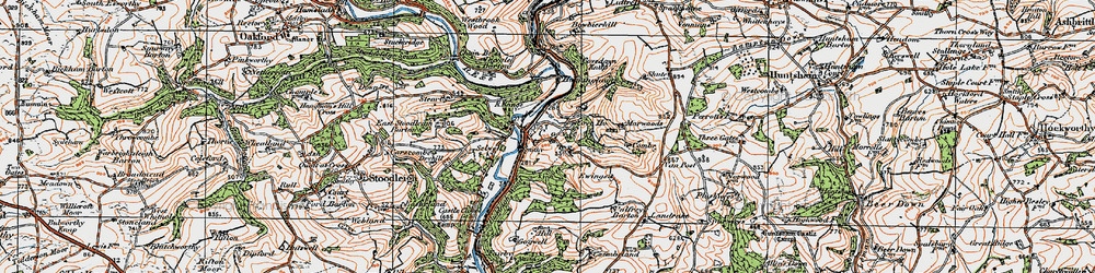 Old map of Bickleigh Wood in 1919