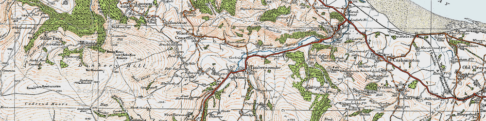 Old map of Whits Wood in 1919