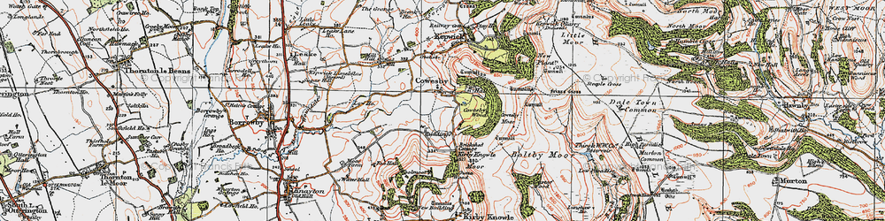 Old map of Cowesby in 1925