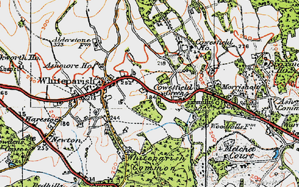 Old map of Cowesfield Green in 1919