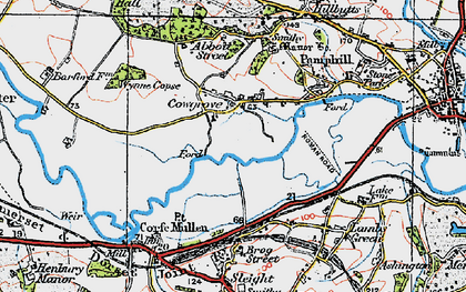 Old map of Cowgrove in 1919