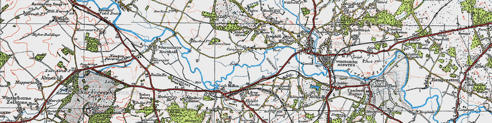 Old map of Cowgrove in 1919