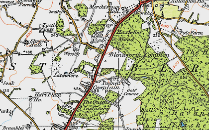 Old map of Cowplain in 1919