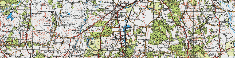 Old map of Witley Common in 1920