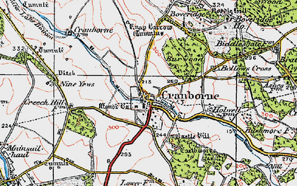 Old map of Cranborne in 1919