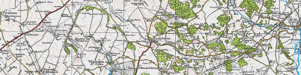 Old map of Cranborne in 1919