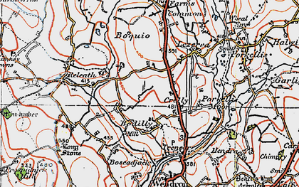 Old map of Crelly in 1919