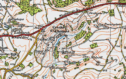Old map of Cricket St Thomas in 1919