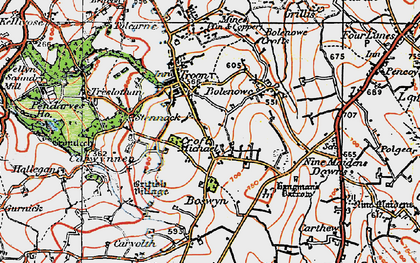 Old map of Croft Mitchell in 1919