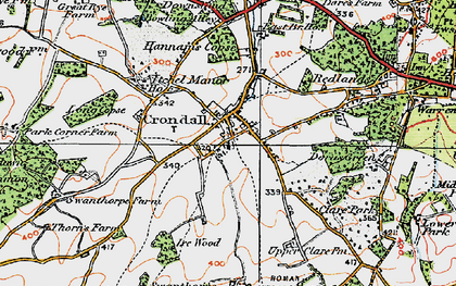 Old map of Crondall in 1919