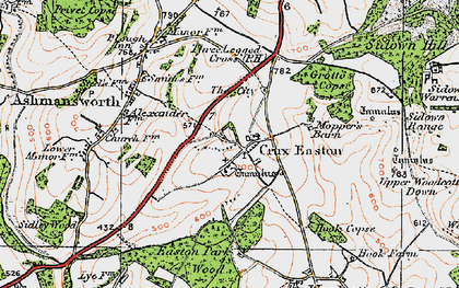 Old map of Crux Easton in 1919