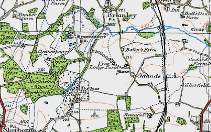 Old map of Vyne Park in 1919