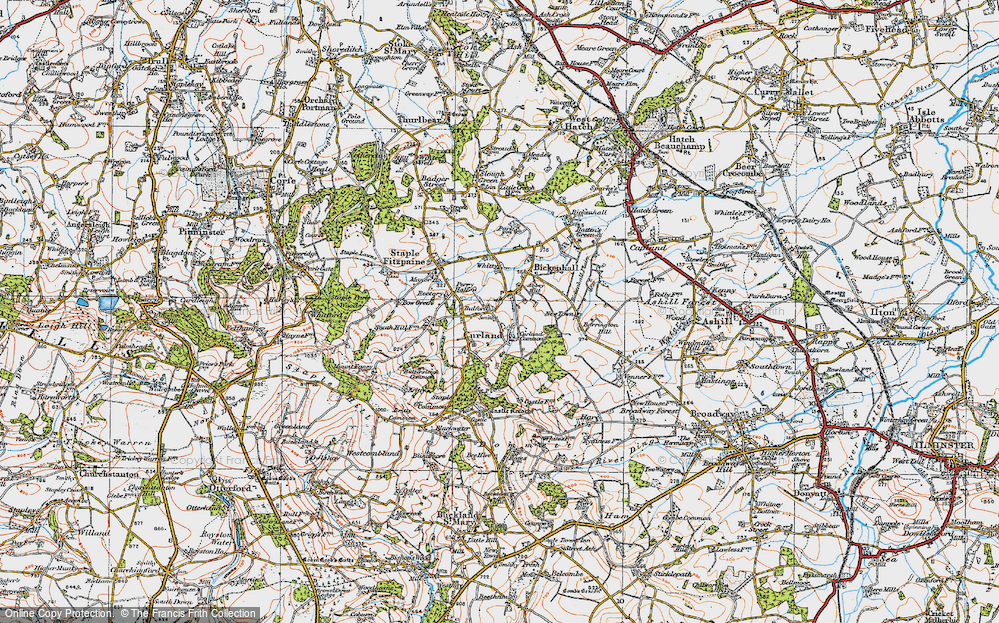 Old Map of Curland Common, 1919 in 1919