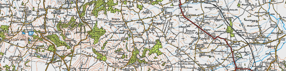 Old map of Curland Common in 1919
