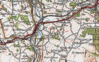 Old map of Cwmnantyrodyn in 1919
