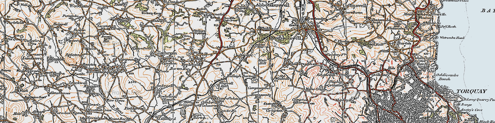 Old map of Dainton in 1919