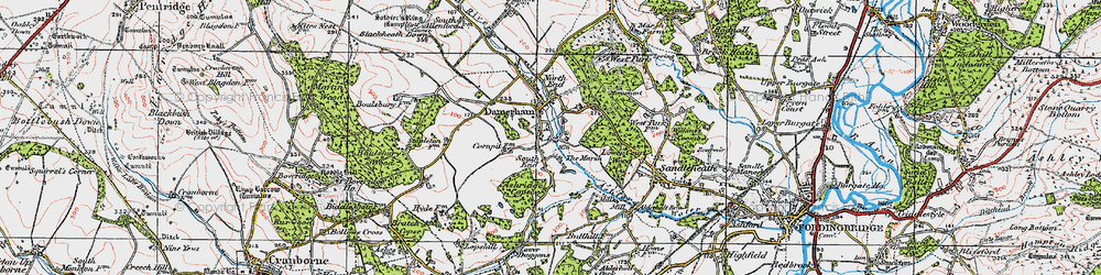 Old map of Damerham in 1919