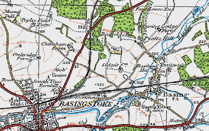 Old map of Daneshill in 1919