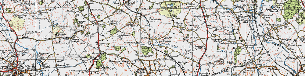 Old map of Danzey Green in 1919