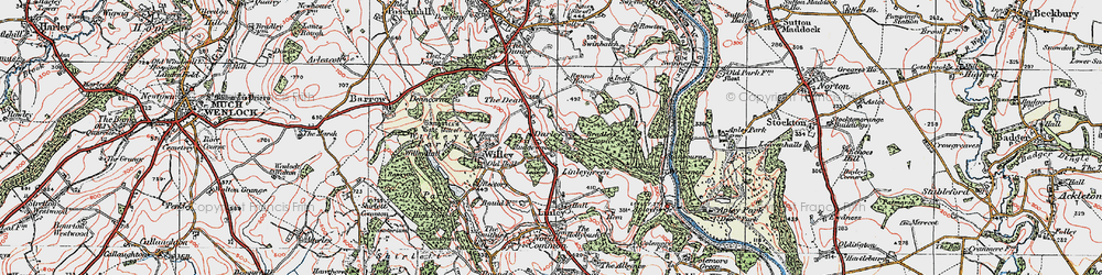 Old map of Bradley's Coppice in 1921