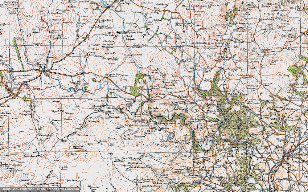 Dartmeet, 1919