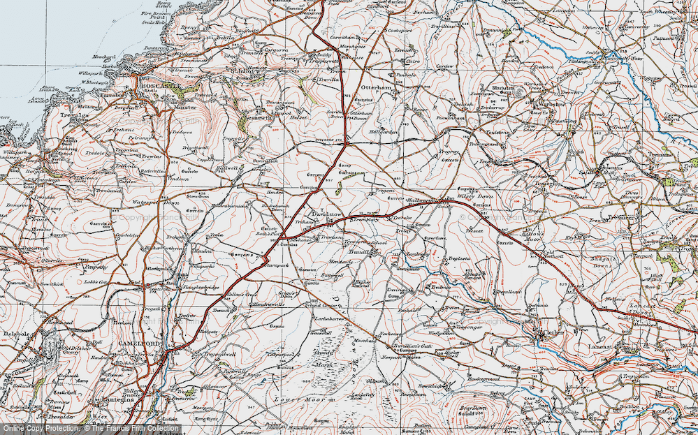 Old Map of Davidstow, 1919 in 1919