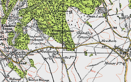 Old map of Woodcutts Common in 1919