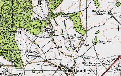 Old map of Deanland in 1919