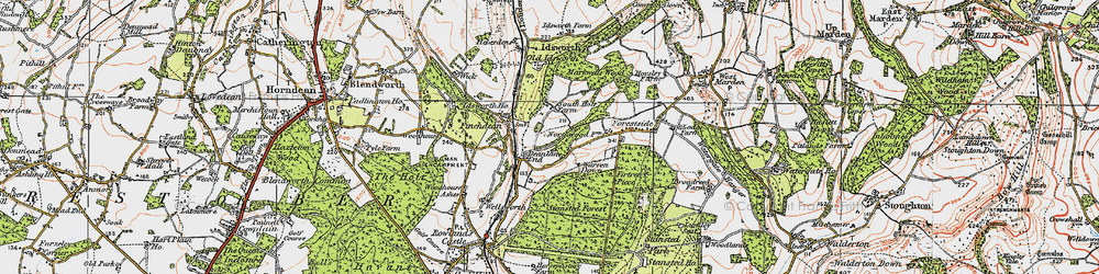 Old map of Idsworth in 1919