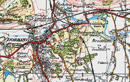 Old map of Deepdene in 1920