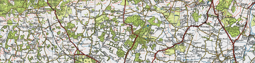 Old map of Dene Park in 1920