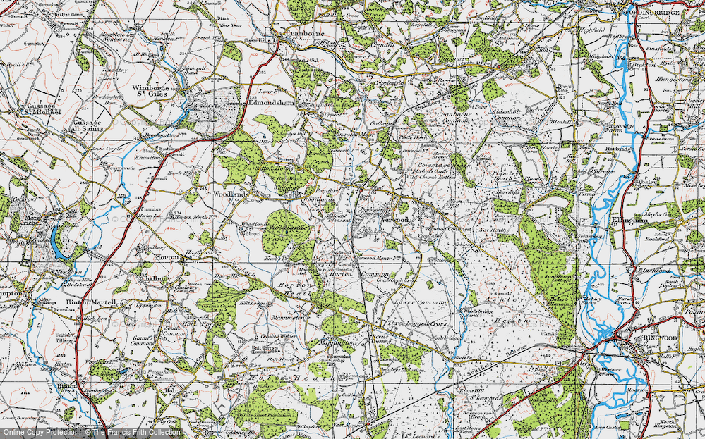 Old Map of Dewlands Common, 1919 in 1919
