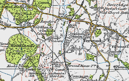 Old map of Dewlands Common in 1919