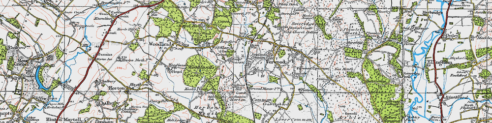 Old map of Dewlands Common in 1919