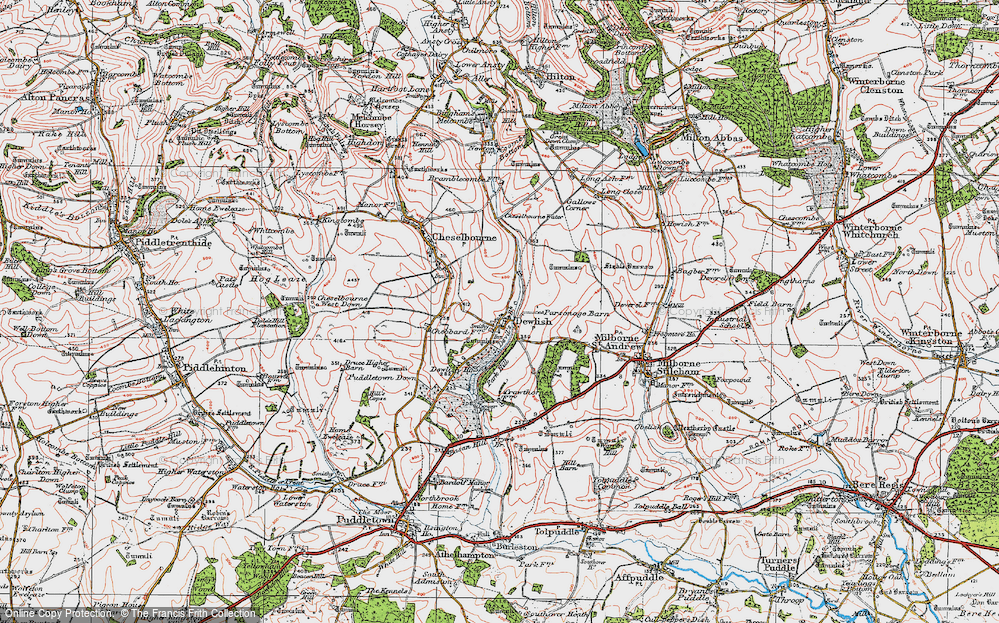 Old Map of Historic Map covering Milborne Wood in 1919