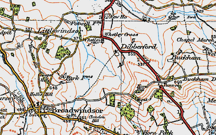 Old map of Dibberford in 1919
