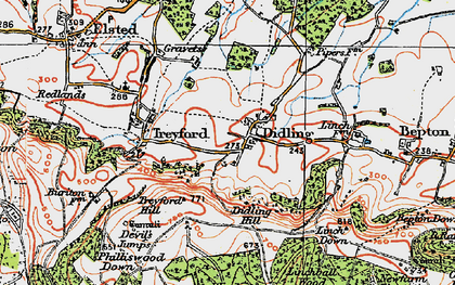 Old map of Didling in 1919