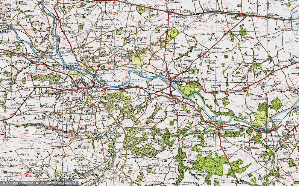 Old Map of Dilston, 1925 in 1925