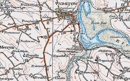 Old map of Dinas in 1919