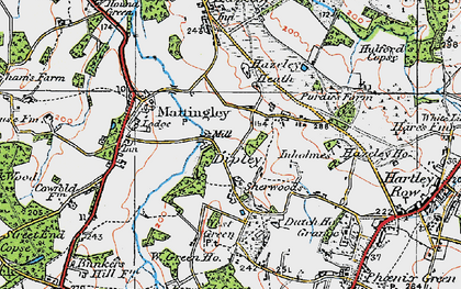 Old map of Dipley in 1919